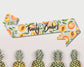A "Fruity Babes" sash with a peach-themed design on a light gray background, displayed above a row of pineapples.