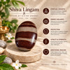 A polished Shiva Lingam stone with horizontal brown and dark reddish-brown bands, displayed on a stone pedestal with decorative props including a candle, white flowers, and green leaves. The background is a warm beige with text detailing the spiritual benefits of the Shiva Lingam.